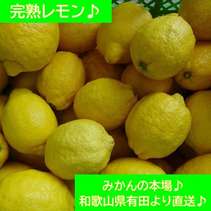 完熟レモン♪ 3kg♪ 和歌山県有田より♪ 農家直送♪ 正味重量3kg♪ 半年以上農薬不使用♪