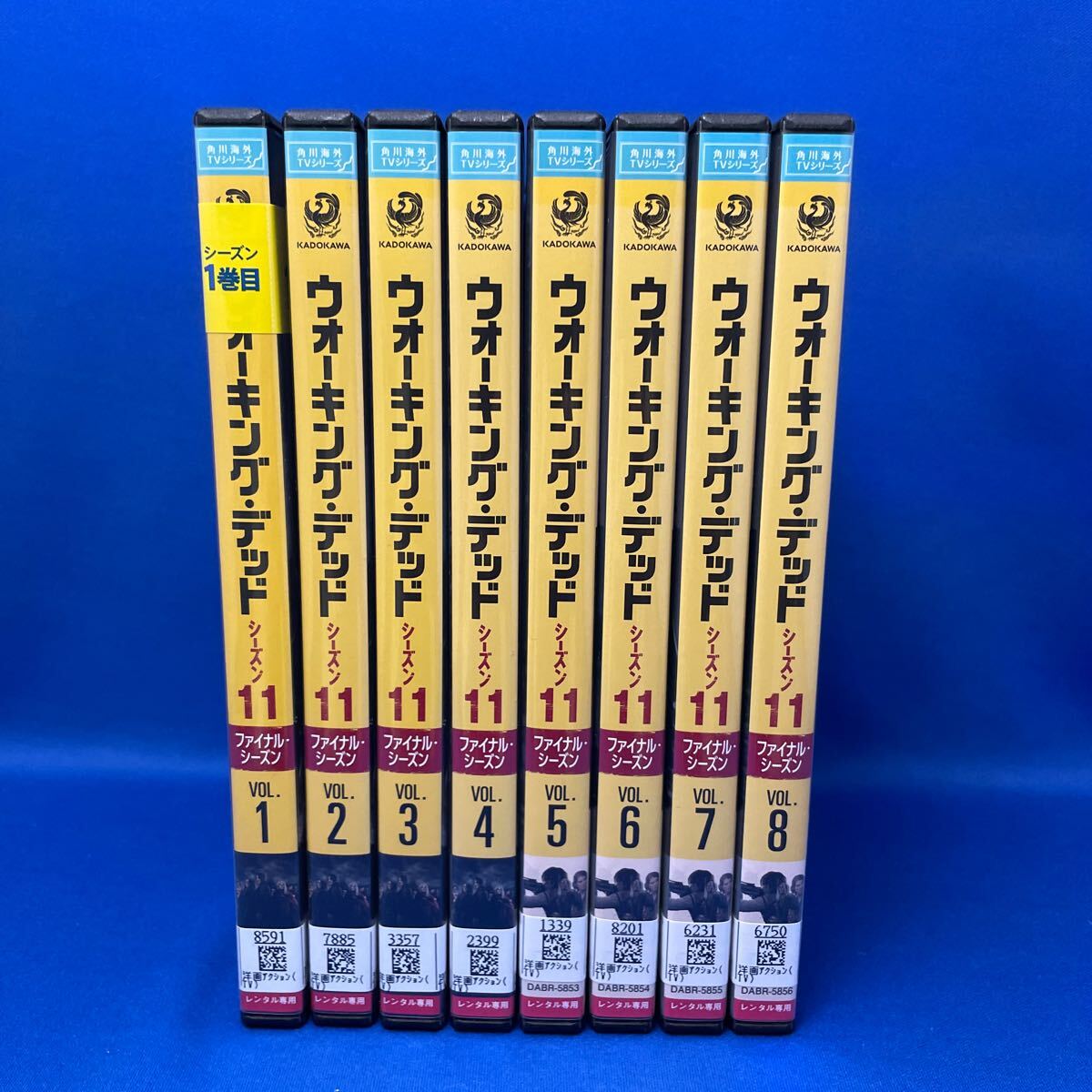 【DVD】ウォーキング デッド シーズン11 ファイナルシーズン 1-8巻セット 海外ドラマ レンタル落ち / THE WALKING DEAD 11th_画像1