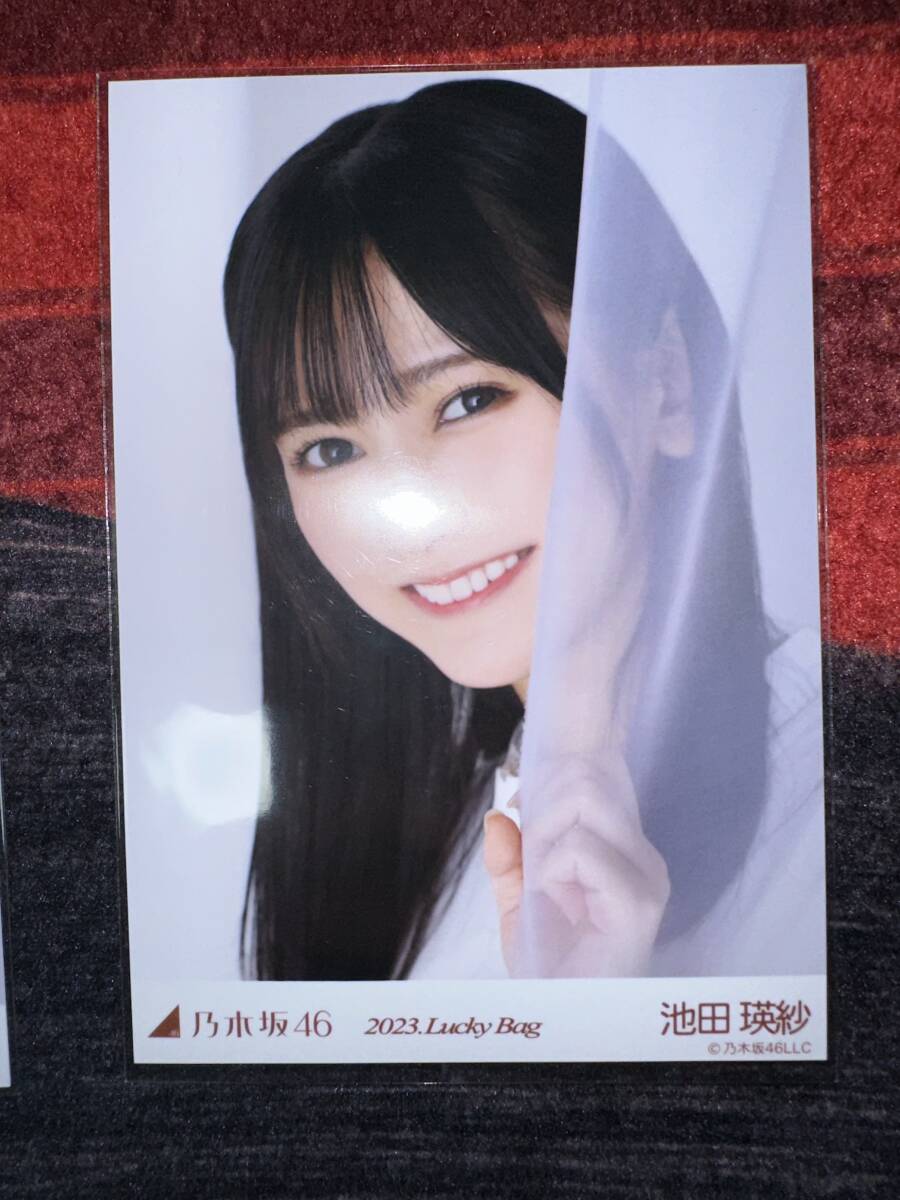 乃木坂46 池田瑛紗 生写真 2023福袋 カレンダー衣装 ヨリ_画像1