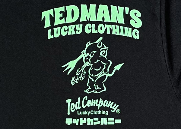TEDMAN 　完売商品！　 ドライTシャツ 　BLACK　 Mサイズ 　試作品 　TDRYT-1100_画像3