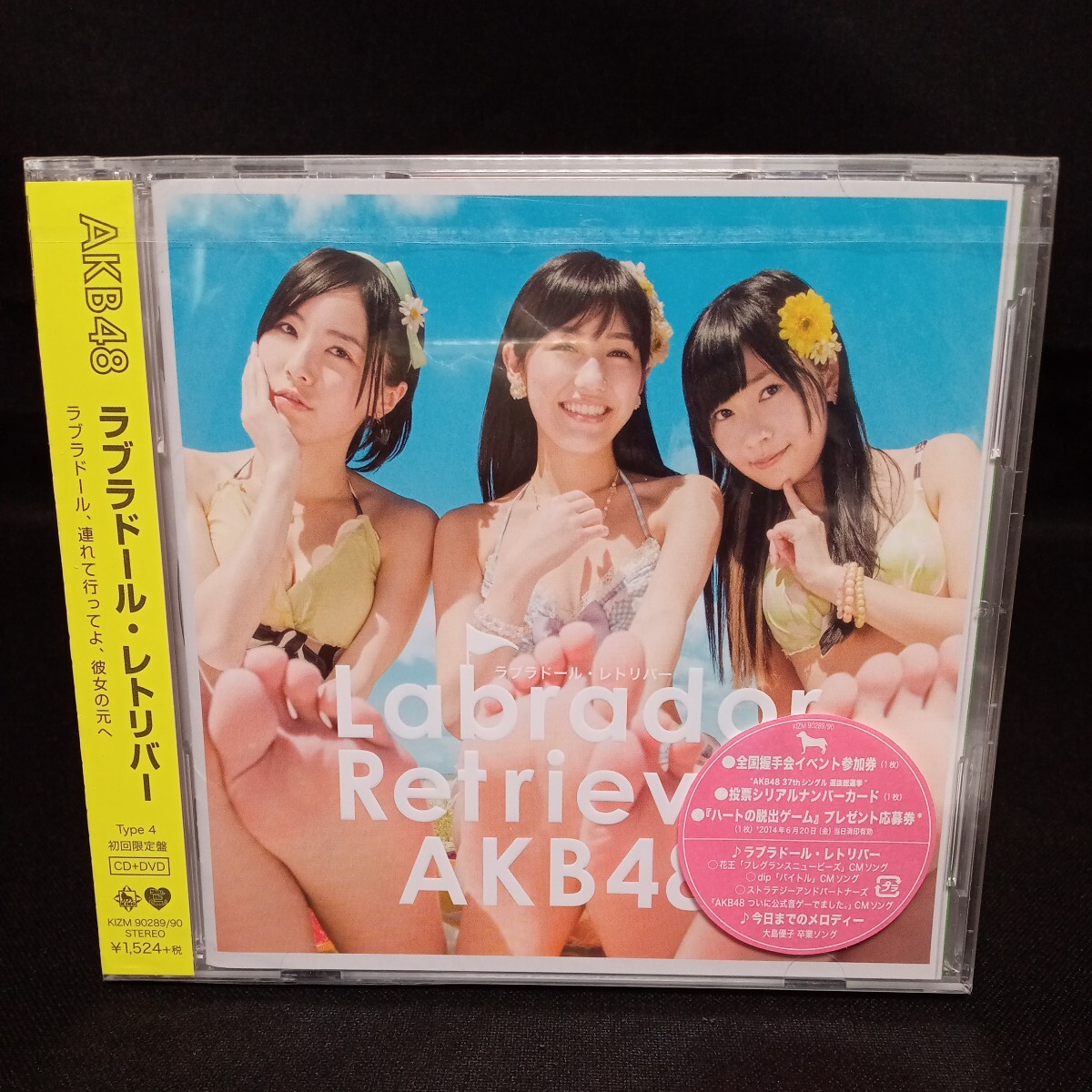 【313】未開封CD　AKB48　「ラブラドールレトリバー」　Type-4　初回限定盤　CD+DVD_画像1