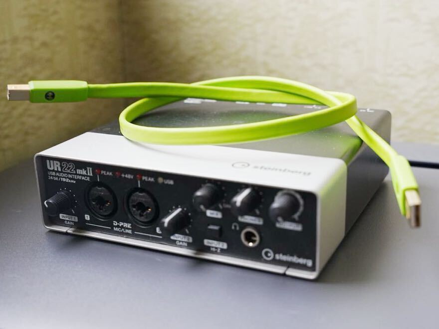STEINBERG UR22mkⅡ オーディオインターフェース スタインバーグ オヤイデ電気USBケーブル付き　音響 動作品_画像1