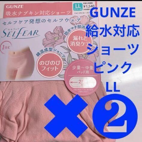 GUNZE【給水対応ショーツ】定価1540円×2枚SET【ピンク LL】お得！尿漏れ・サニタリー・マタニティ・更年期・高齢者 尿漏れ お悩みサポートの画像1