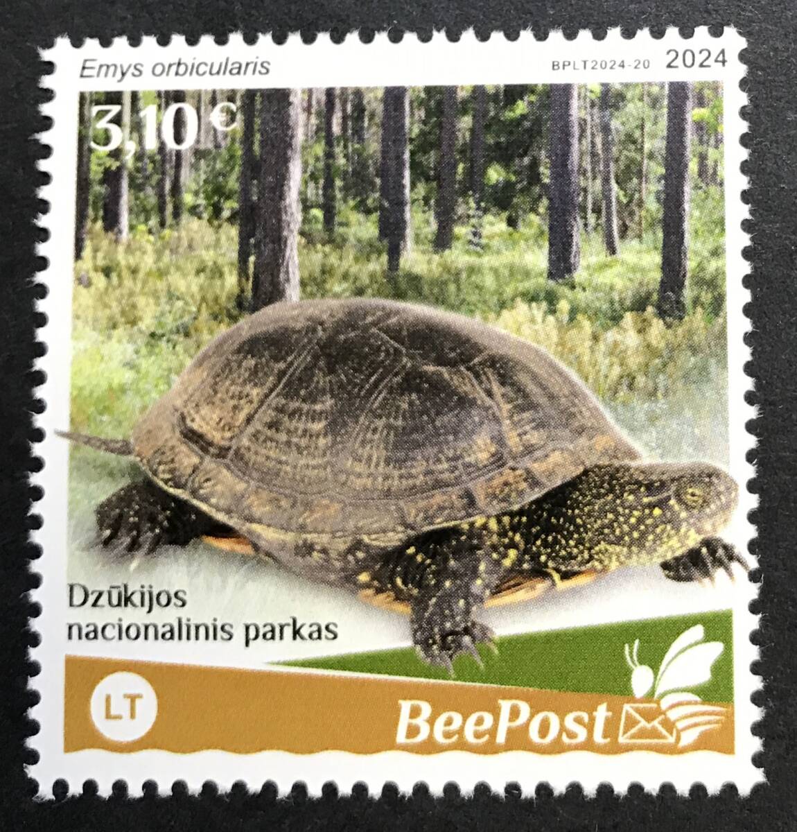litoania local 2024 year issue turtle stamp unused NH