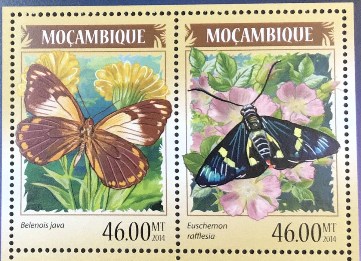 モザンビーク 2014年発行 蝶 切手 未使用 NH_画像2