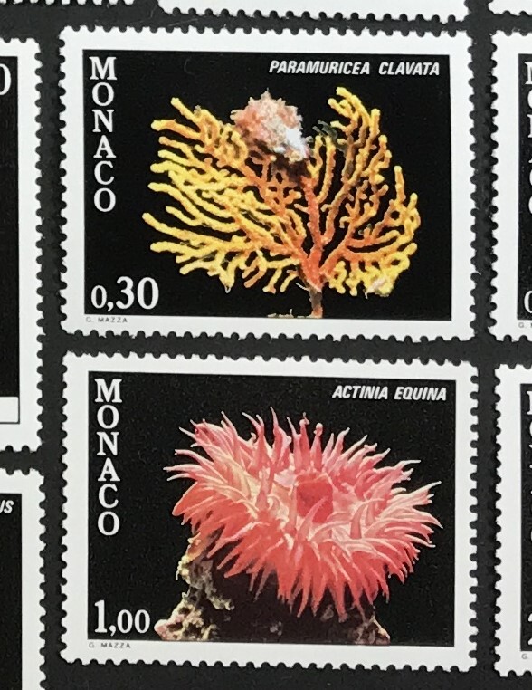 モナコ 1980年発行 イソギンチャク サンゴ 海の生物 切手 未使用 NH_画像6