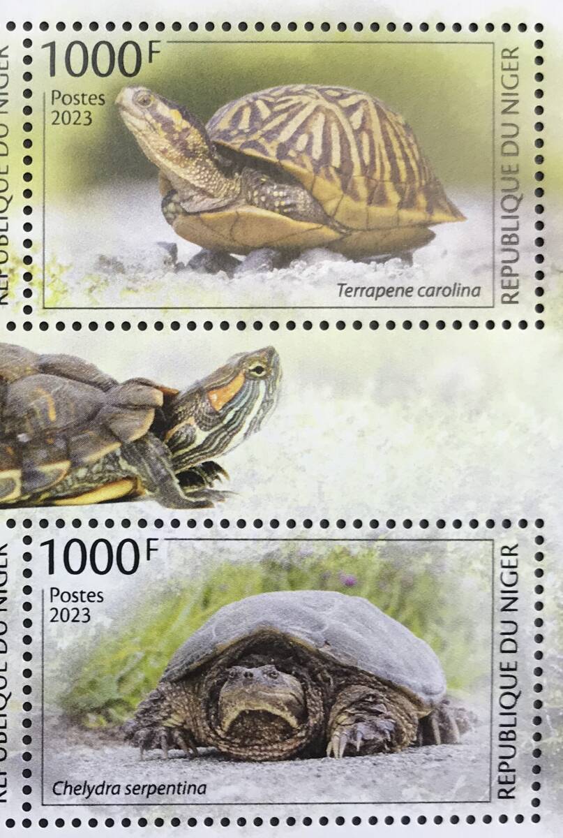 ニジェール 2023年発行 カメ 切手 未使用 NHの画像3