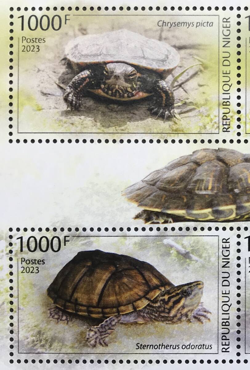 ニジェール 2023年発行 カメ 切手 未使用 NHの画像2