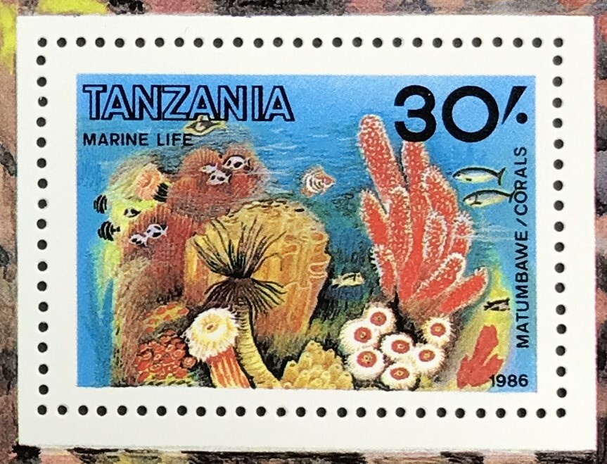 タンザニア 1986年発行 サンゴ 切手 未使用 NH_画像2