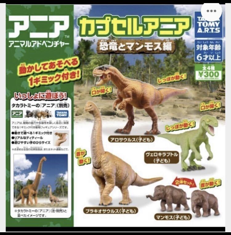 カプセルアニア 恐竜とマンモス編 全4種 マンモス アロサウルス ヴェロキラプトル ブラキオサウルス 子ども タカラトミー　恐竜　アニア