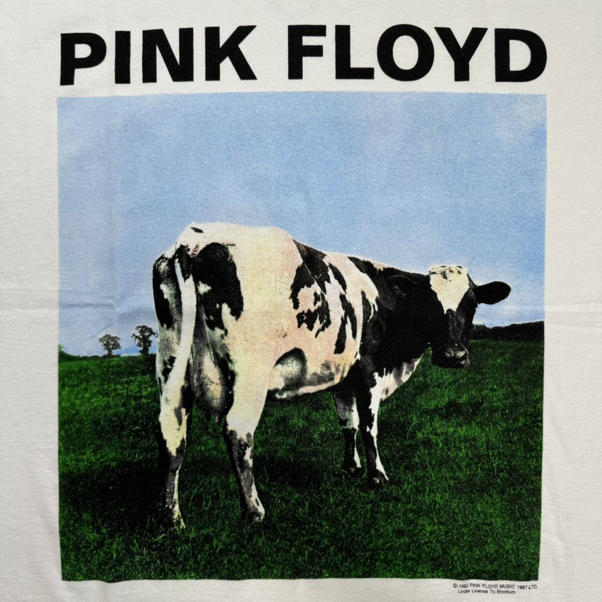 PINK FLOYD STILL FIRST IN SPACE ATOM HEART MOTHER ピンクフロイド tee Tシャツ_画像2