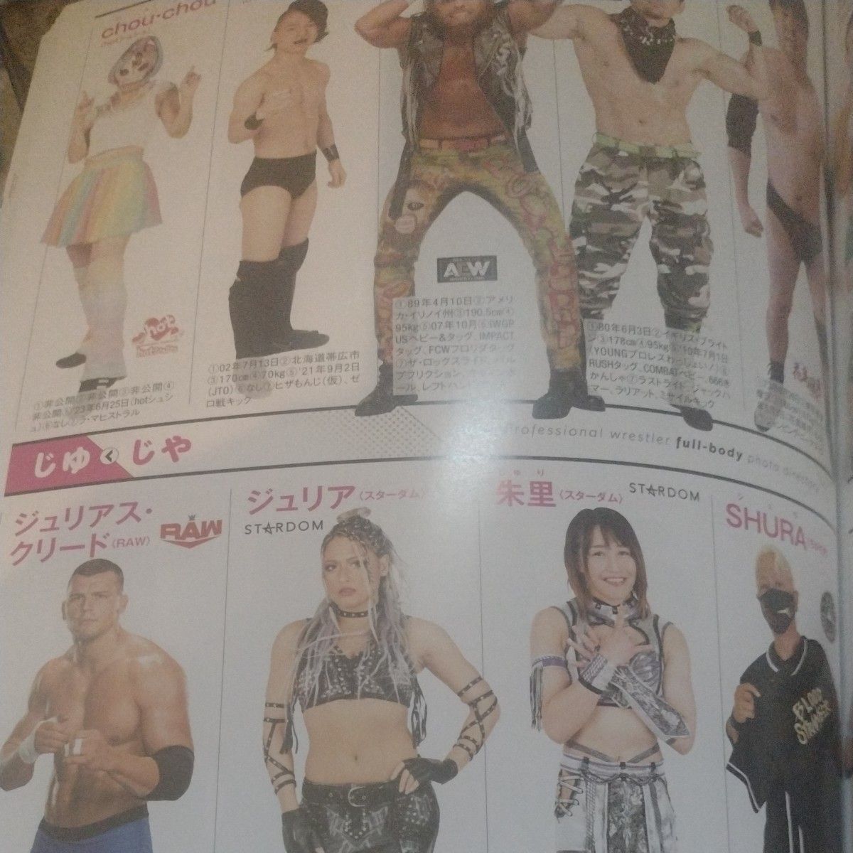 2020 プロレスラー 全身写真名鑑 2020年1月号 【週刊プロレス増刊】