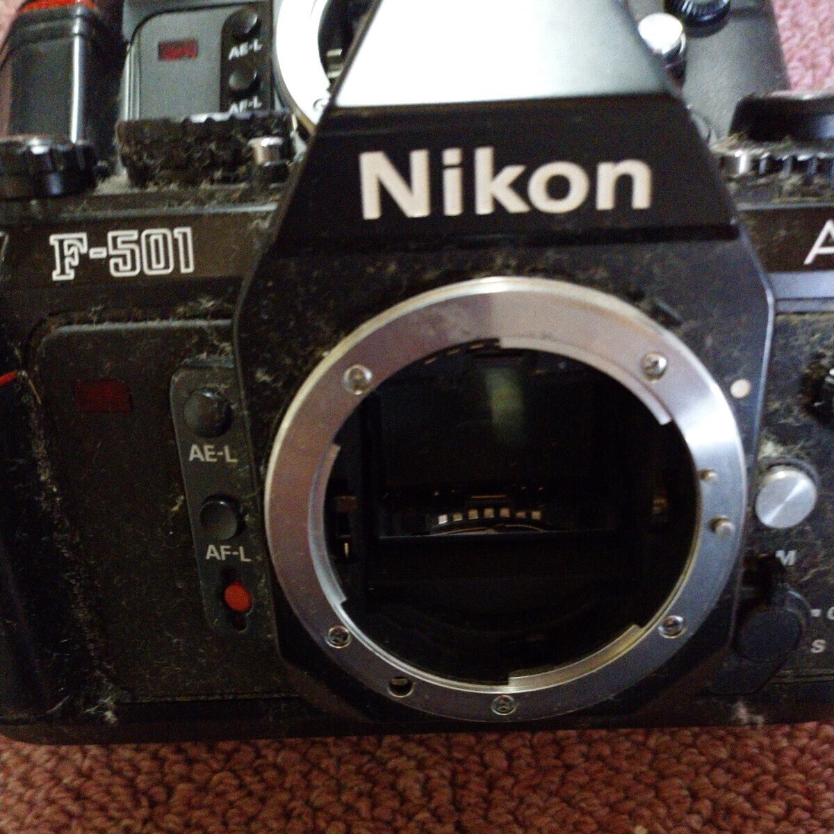 Nikon フィルムカメラ F-501 FG-20 中古品まとめて_画像3