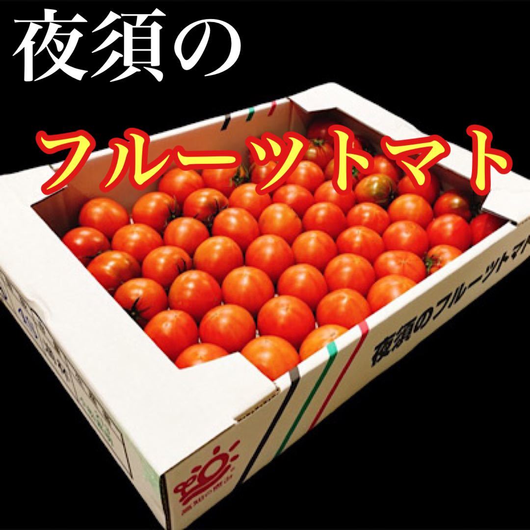 高知県産 夜須のフルーツトマト 12玉から20玉前後 コンパクトボックス送料無料の画像1