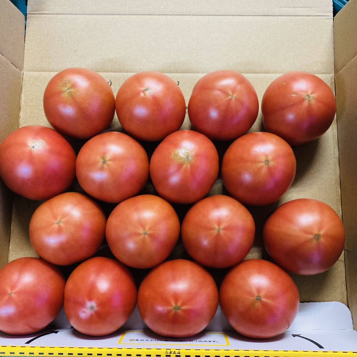 高知県産 夜須のフルーツトマト 12玉から20玉前後 コンパクトボックス送料無料の画像5