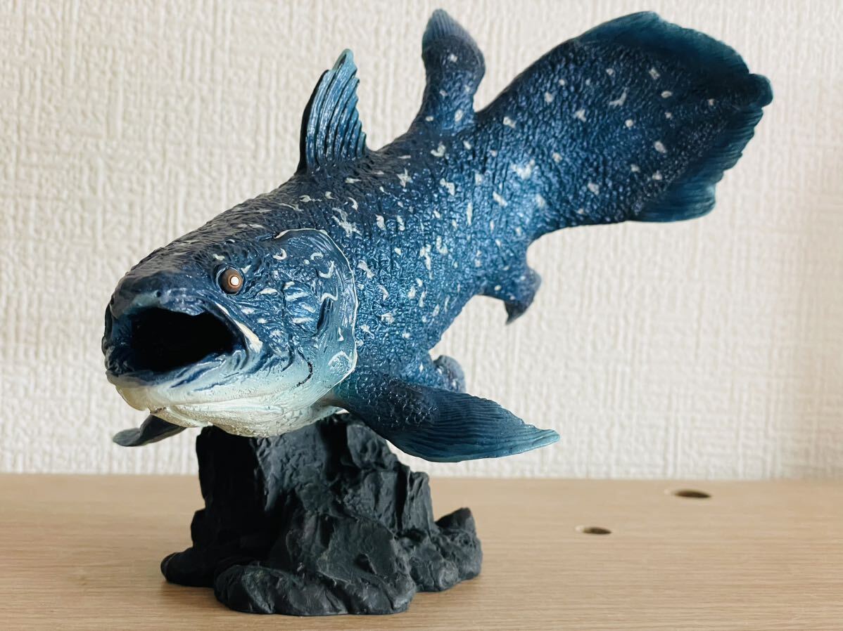美品 海洋堂 naturetales ネイチャーテイルズ シーラカンス 絶版 美品 海洋堂 naturetales ネイチャーテイルズ シーラカンス 絶版