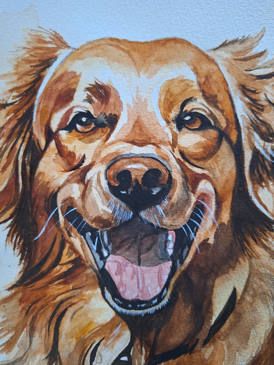 水彩畫　GoldenRetriever