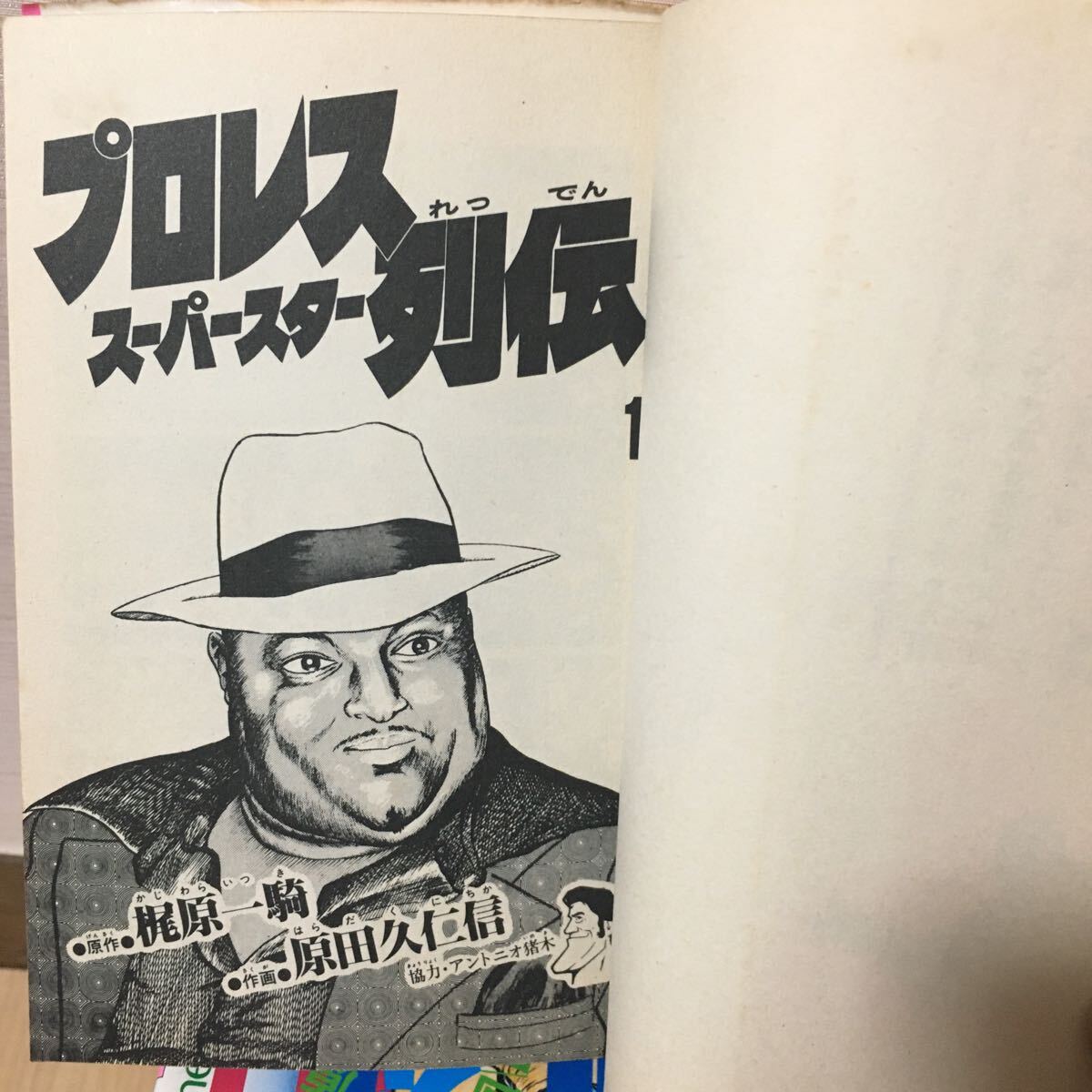 コミック『プロレス スーパースター列伝 全17巻セット』梶原一騎/原田久仁信/小学館/少年サンデー/最終巻昭和58年発行/マンが/　F-1262_画像8