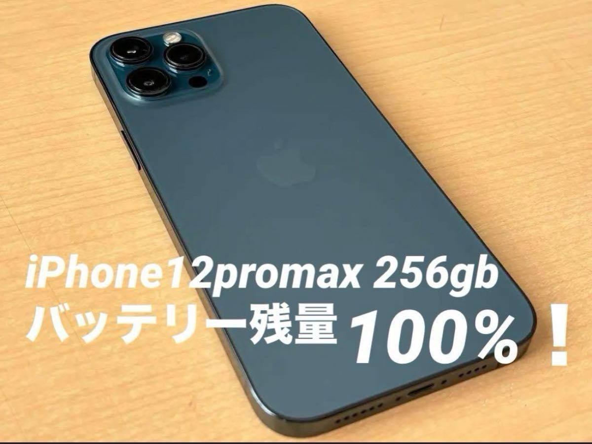 iphone 12 pro max 256gb パシフィックブルー SIMフリー|Yahoo iphone 12 pro max 256gb パシフィックブルー SIMフリー|Yahoo