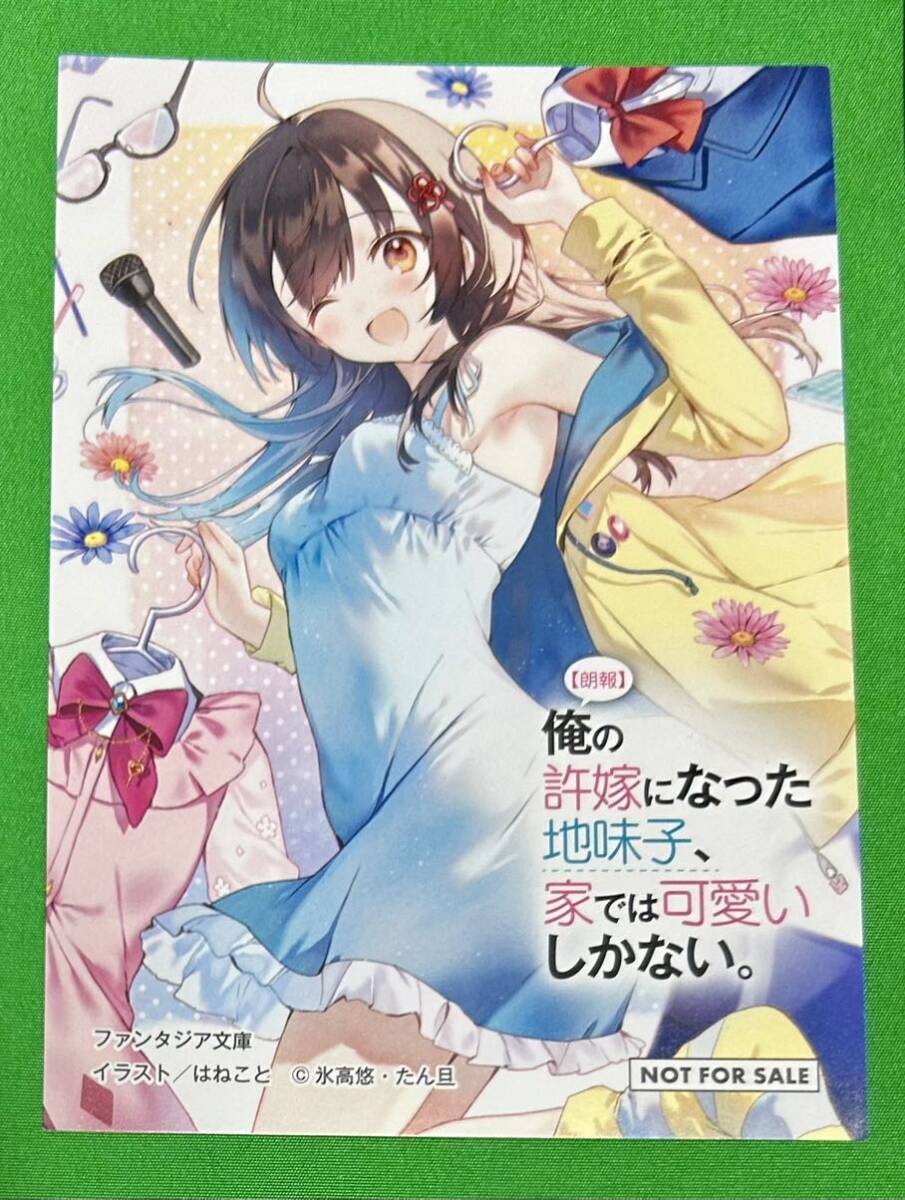 【朗報】俺の許嫁になった地味子、家では可愛いしかない。　SS ショートストーリーセット　アニメイト　メロンブックス　じみかわ たん旦_画像2