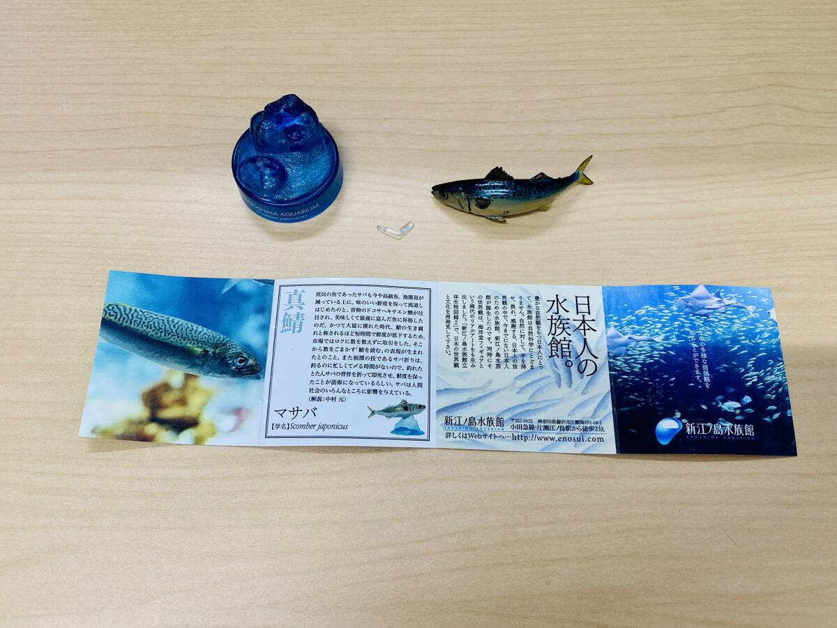  Kaiyodo new .no island aquarium to ..2ma mackerel genuine . bottle cap figure Aramata Hiroshi ..KAIYODO solid living thing llustrated book 2