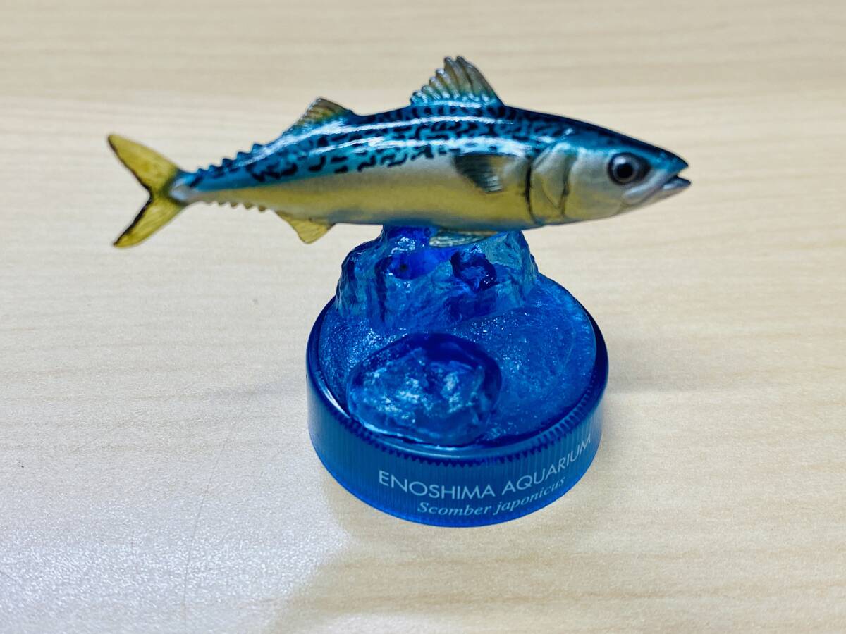  Kaiyodo new .no island aquarium to ..2ma mackerel genuine . bottle cap figure Aramata Hiroshi ..KAIYODO solid living thing llustrated book 2