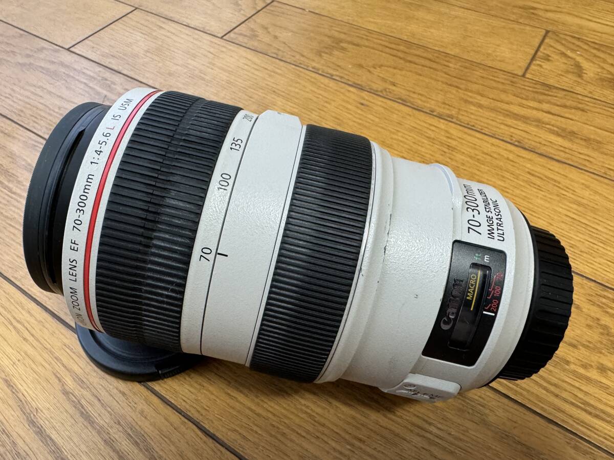  Canon EF70-300mm F4-5.6L IS USMの画像1
