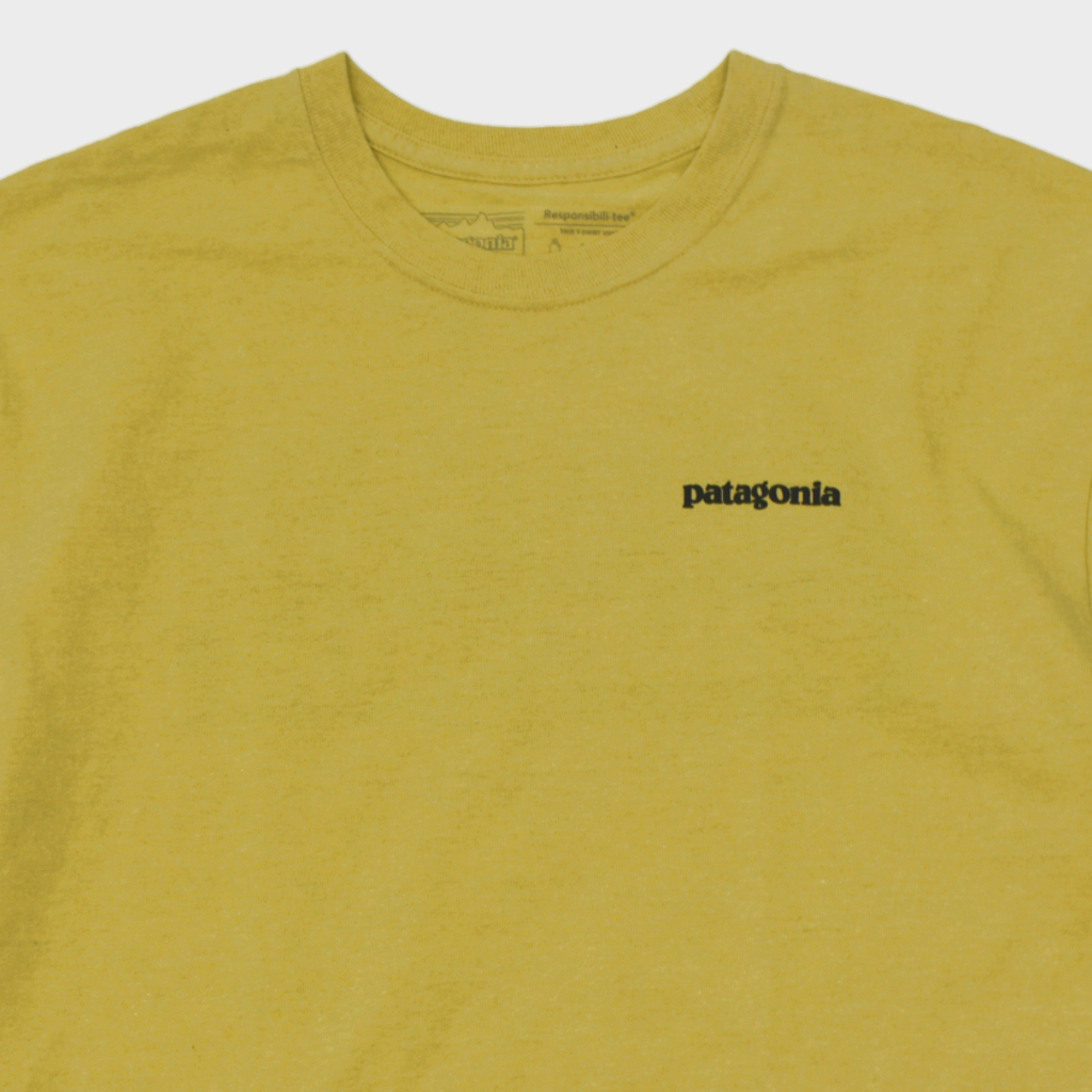 良好 廃版カラー Patagonia パタゴニア M’s P-6 Logo Responsibili Tee Tシャツ レスポンシビリティー サーフボードイエロー size.M_画像4