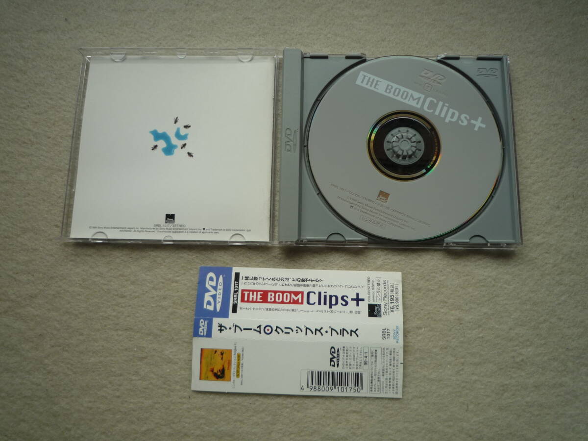 THE BOOM　DVD　Clips＋_画像2