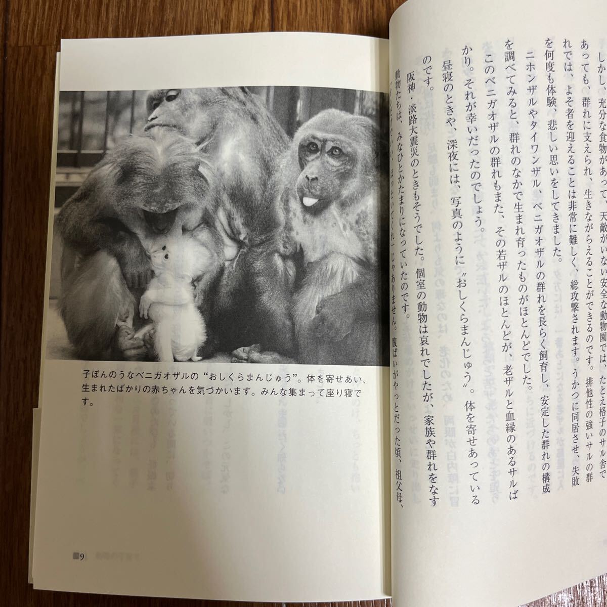 【署名本/初版】亀井一成『動物の赤ちゃんを育てる 動物園飼育員50年』朝日選書 帯付き サイン本_画像6