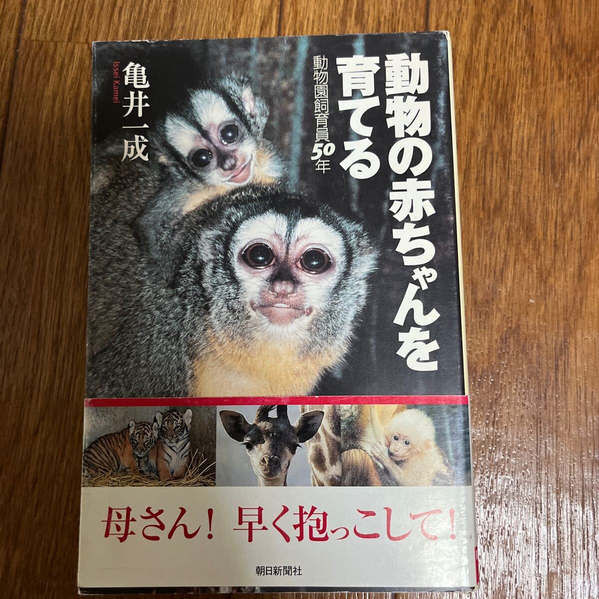 【署名本/初版】亀井一成『動物の赤ちゃんを育てる 動物園飼育員50年』朝日選書 帯付き サイン本_画像1