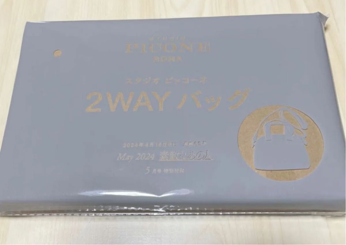 新品 STUDIO PICONE 2WAYバッグ ポーチ ショルダー ピッコーネ