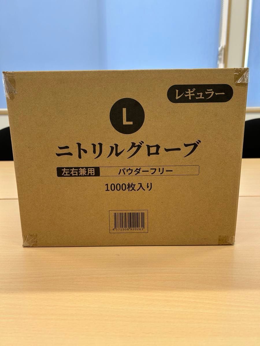 ニトリル手袋 Lサイズ 1000枚入り 100枚／箱×10箱 丸紅テクノラバー パウダーフリー 粉なし ニトリルグローブ