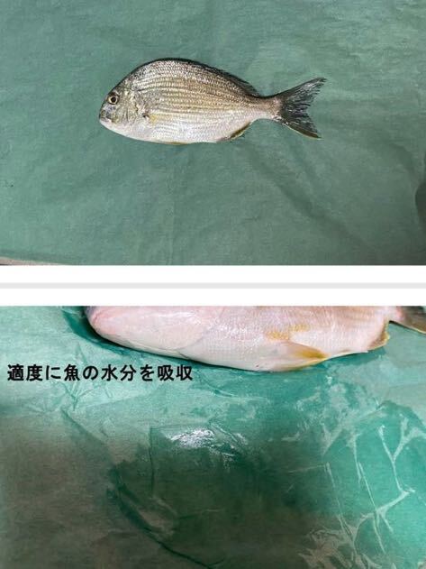 グリーンパーチ　50枚　熟成紙　給水紙　津本式　熟成魚　脱水紙　お肉等にも！_画像2