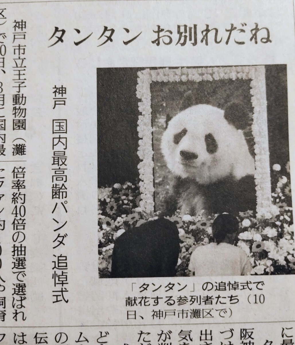 読売新聞 2024.5.11朝刊 『 タンタンお別れだね 』王子動物園　タンタン記事_画像1