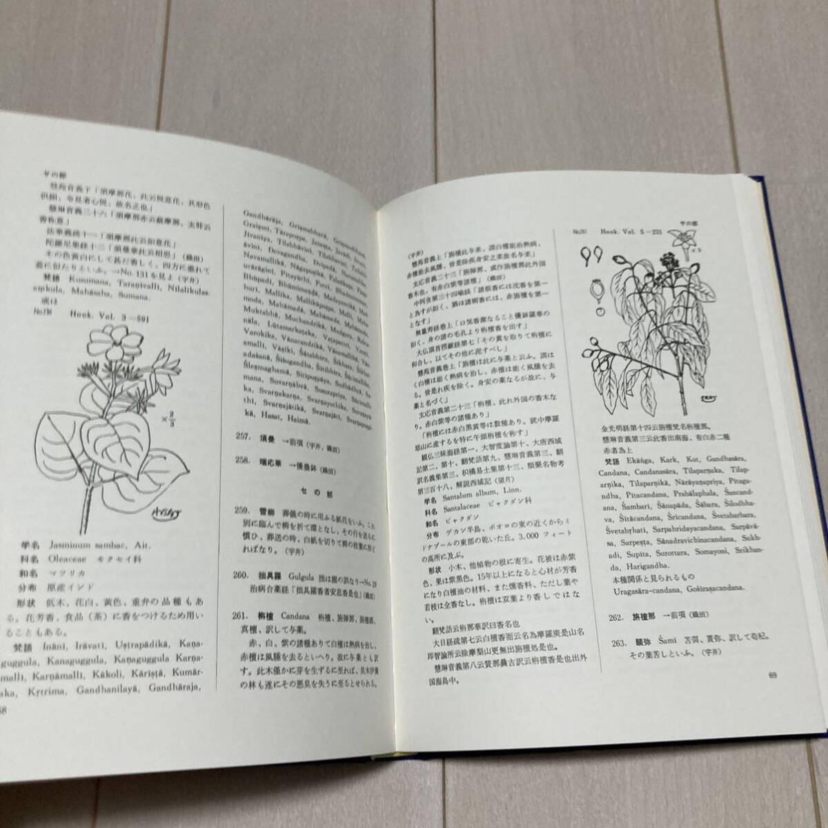 M 昭和57年発行 「仏教植物辞典」_画像6