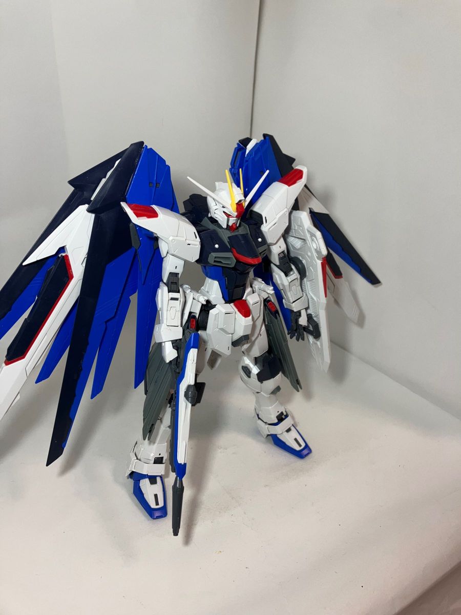 フリーダムガンダムMG ver2.0