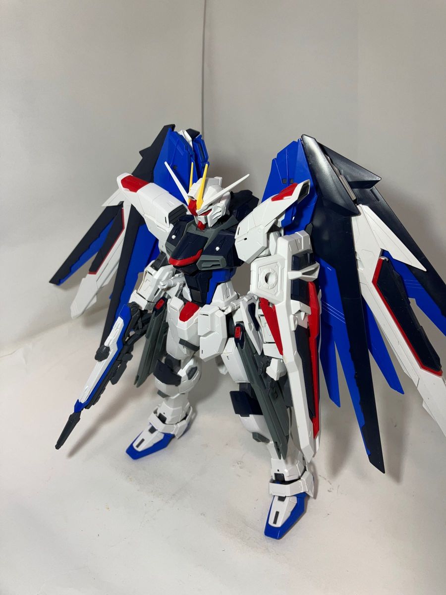 フリーダムガンダムMG ver2.0