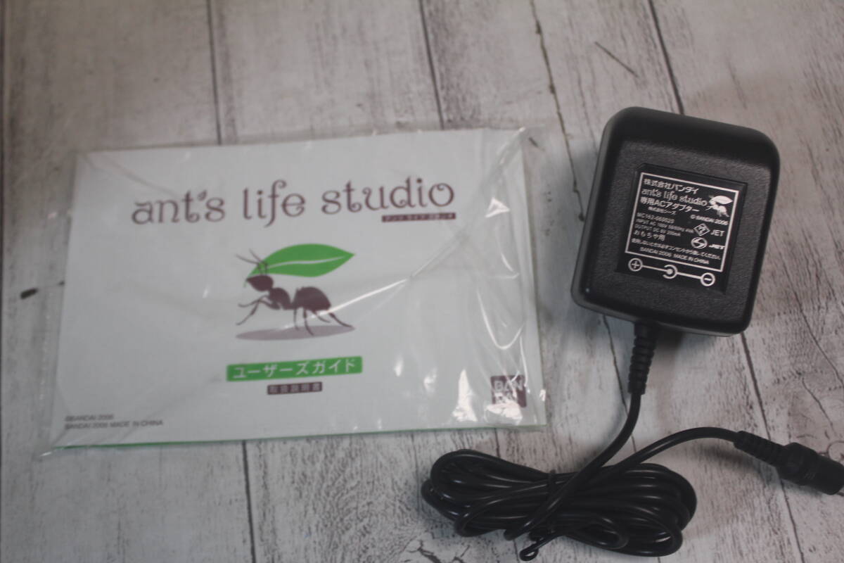 BANDAI Anne tsu life Studio ant\'s life studio have rearing game Bandai 