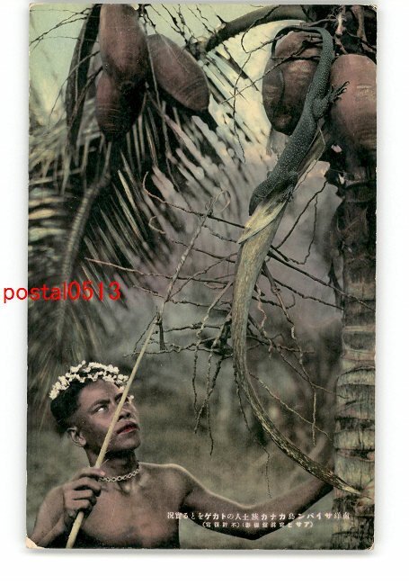 XyH7843●南洋 南洋サイパン島カナカ族土人のチカゲを採る *傷み有り【絵葉書】_画像1