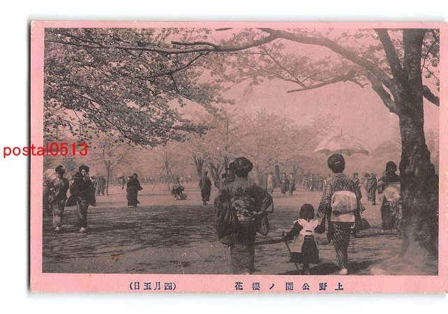 Xr2749●東京 上野公園の桜【絵葉書】_画像1