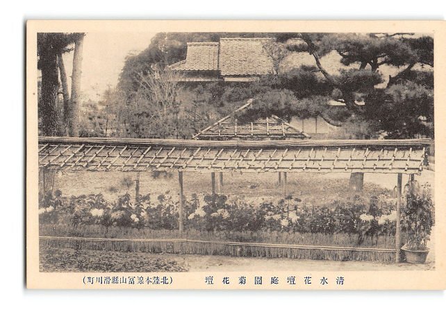 XyE0918●富山 滑川町 清水花壇庭園菊花壇 *傷み有り【絵葉書】_画像1