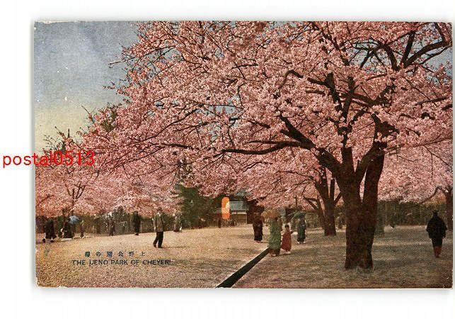 XyH8695●東京 上野公園の桜 エンタイア *傷み有り【絵葉書】_画像1
