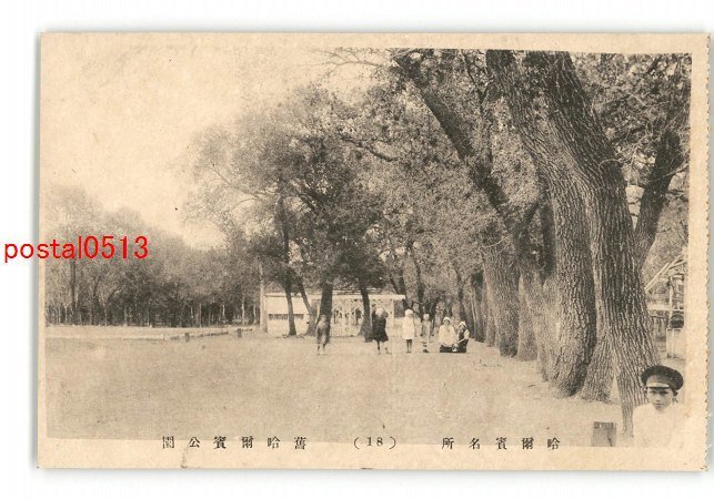 XyI4340●満州 哈爾賓名所 旧哈爾賓公園【絵葉書】_画像1