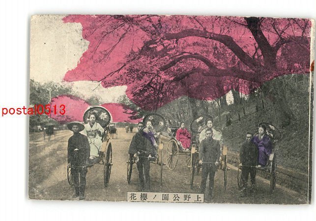 XyL2384●東京 上野公園の桜と人力車上の美人 *傷み有り【絵葉書】_画像1