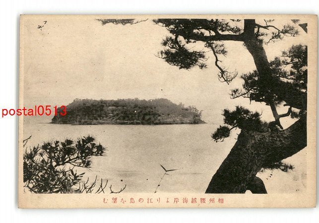 XyO6418●神奈川 相州越越海岸より江の島を望む *傷み有り【絵葉書】_画像1