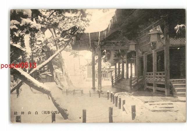 XZG4912●新潟 雪の新潟 白山神社 *傷み有り【絵葉書】_画像1