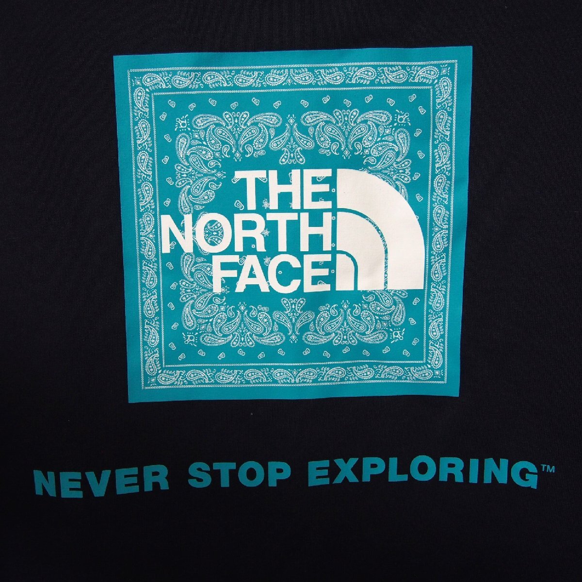 [9356-014S] THE NORTH FACE ショートスリーブバンダナスクエアロゴティー NT32108 Lサイズ 【中古】 現状販売 ノースフェイス 半袖Tシャツ_画像7