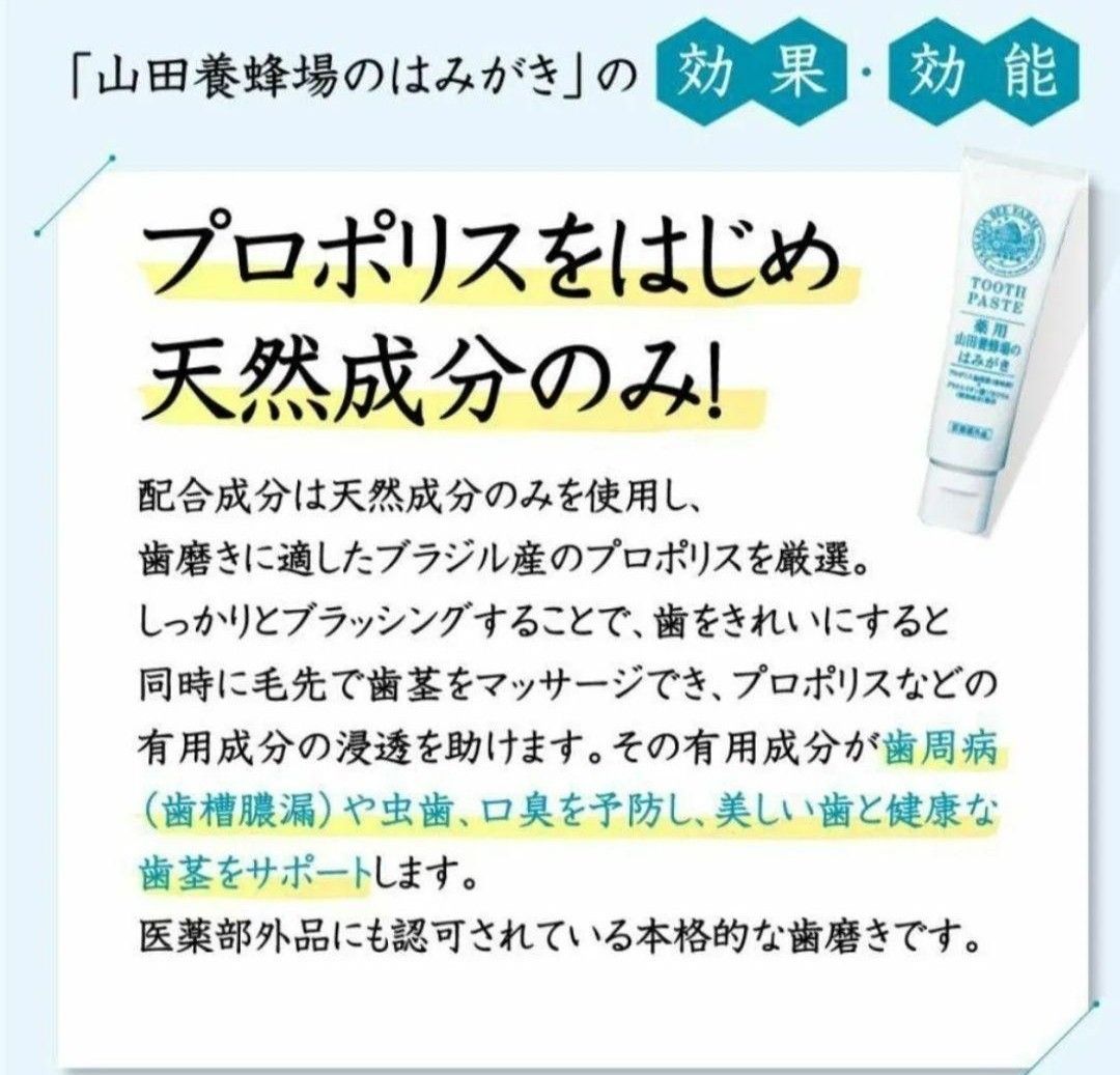 ラスト出品！　山田養蜂場 歯磨き粉 3本セット 新品未開封