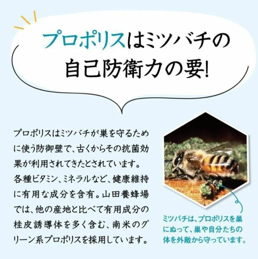 山田養蜂場 歯磨き粉 3本セット 新品未開封